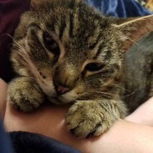 Meet your Posher, Alex